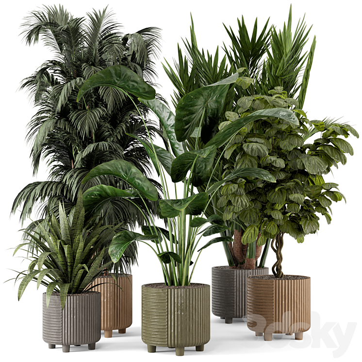 Indoor Planters in Cecilia Ficonstone Pot – Set 349 3DS Max Model - thumbnail 1