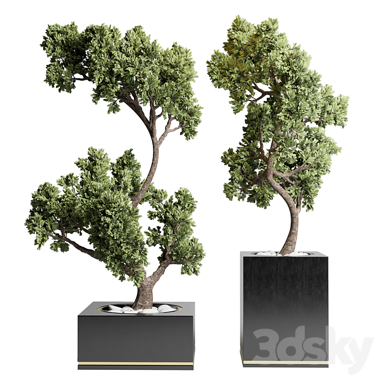 bonsai pot concrete vase pot tree 3DS Max Model - thumbnail 2