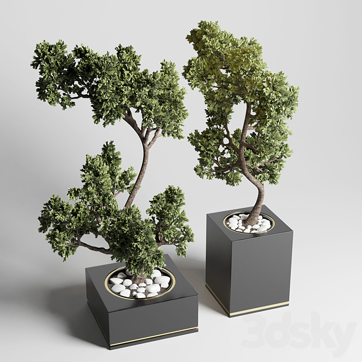 bonsai pot concrete vase pot tree 3DS Max Model - thumbnail 1