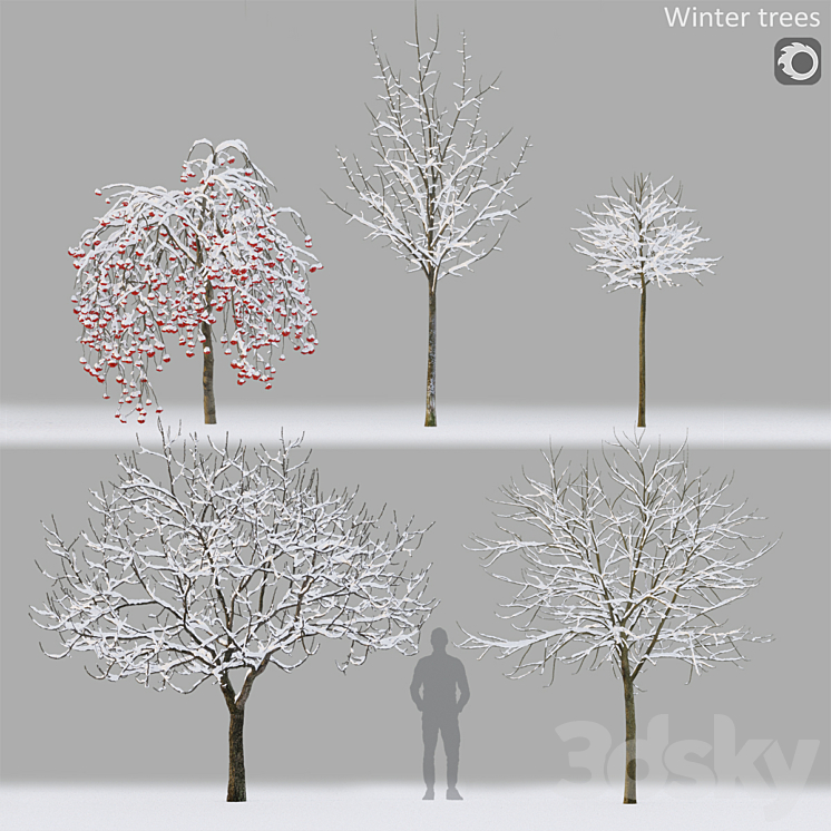 Winter trees # 1 3DS Max - thumbnail 1