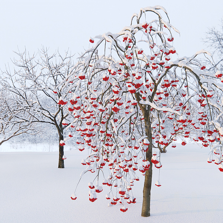 Winter trees # 1 3DS Max - thumbnail 2
