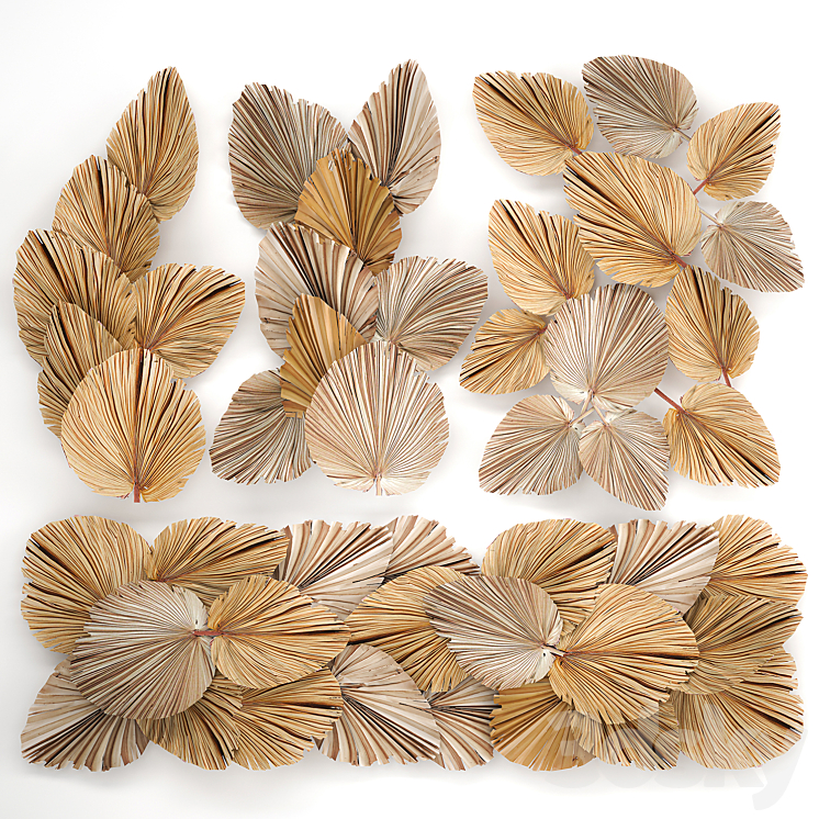 Installation and decoration for walls in eco-style made of dried flowers and dry palm leaf. Set 228. 3D Model
