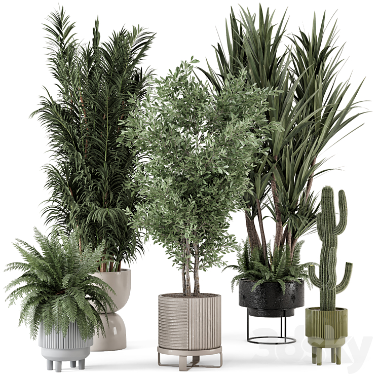 Indoor Plants in Ferm Living Bau Pot Large - Set 362 Free Download