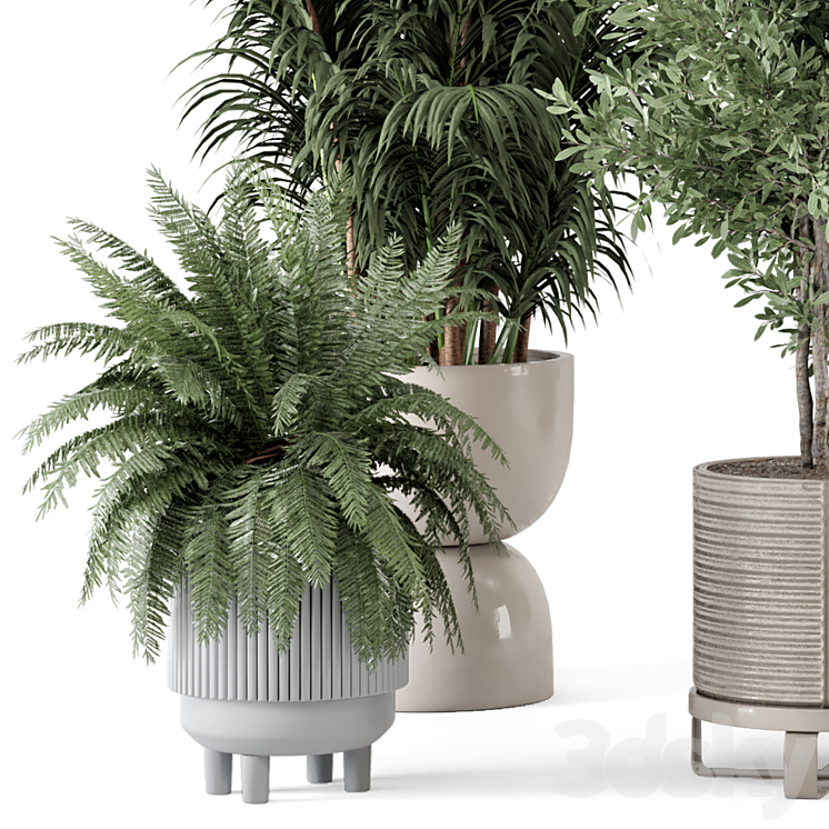 Indoor Plants in Ferm Living Bau Pot Large - Set 362 3D Model Free