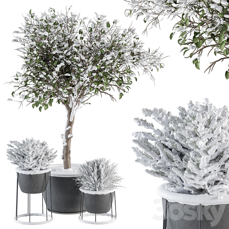 Outdoor Plants in Pot Snowy – Set 346 3DS Max - thumbnail 1