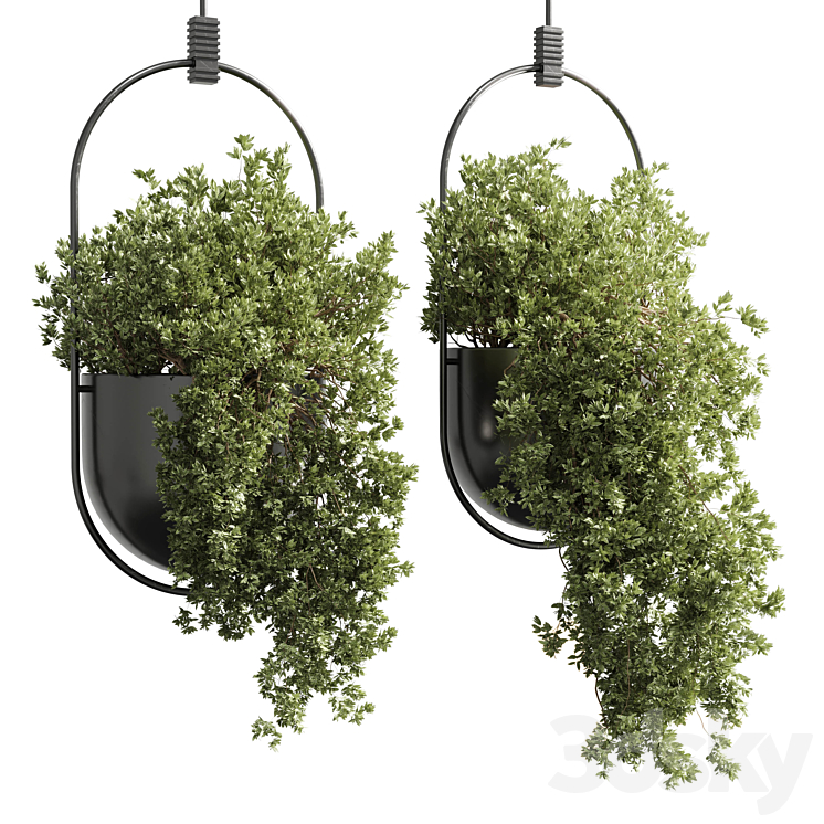 hanging pot collection indoor outdoor Indoor plants15-metal bax vase corona 3DS Max - thumbnail 1