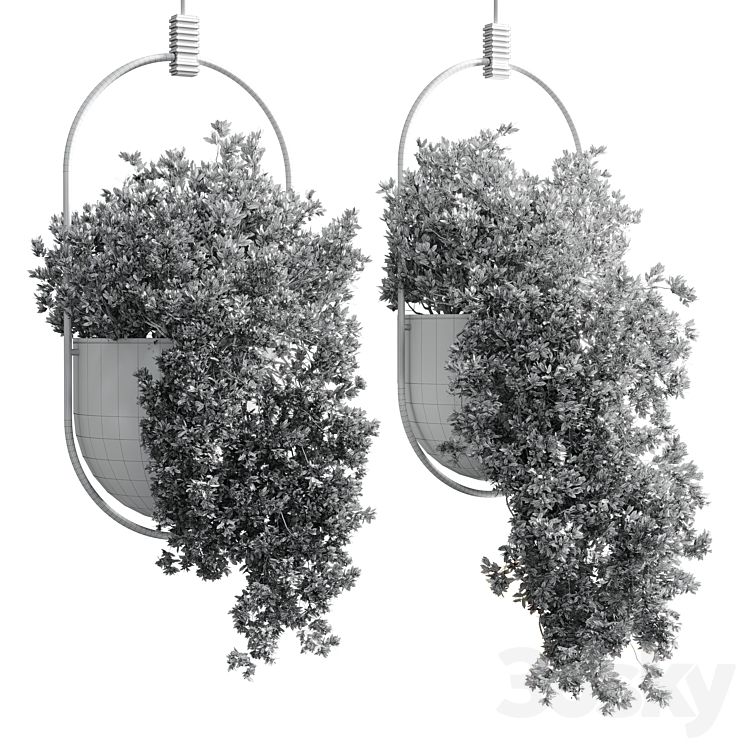 hanging pot collection indoor outdoor Indoor plants15-metal bax vase corona 3DS Max Model - thumbnail 2