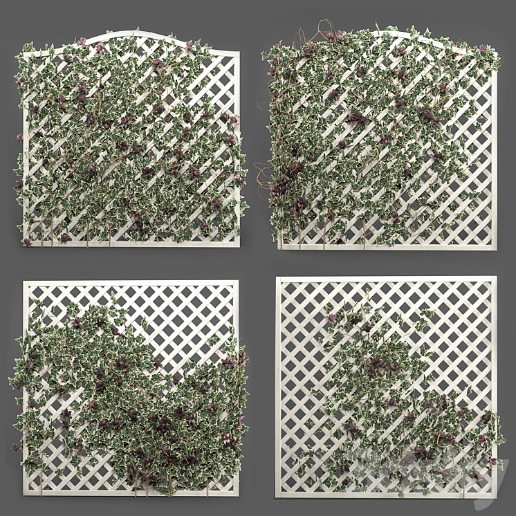 ivy grid panel( 4 different ivy composition) 3D Model