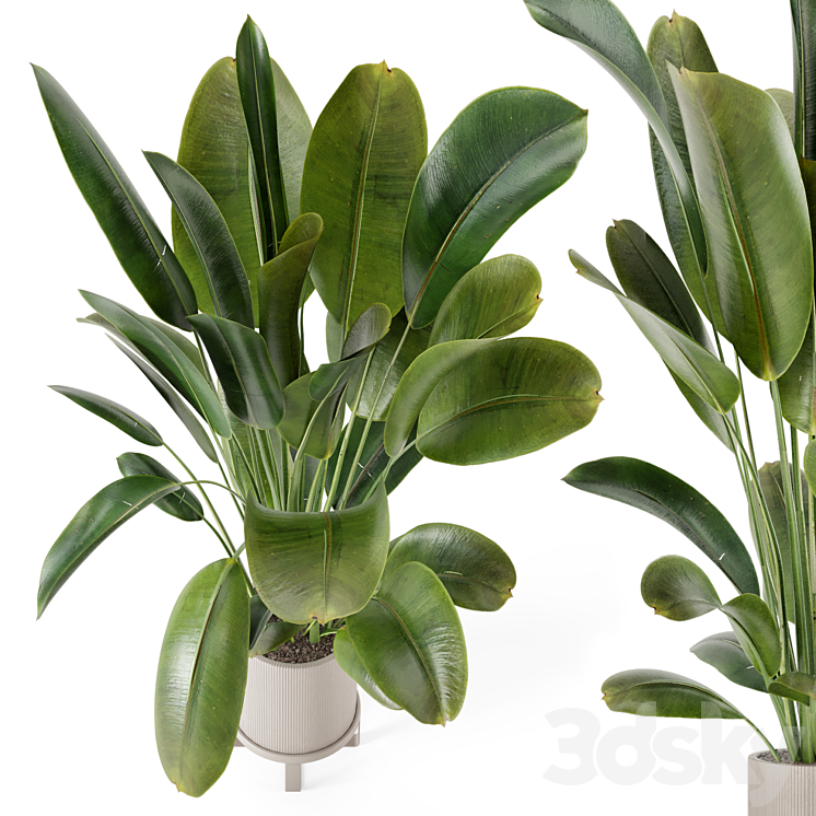 Indoor Plants in Ferm Living Bau Pot Large – Set 378 3DS Max Model - thumbnail 2