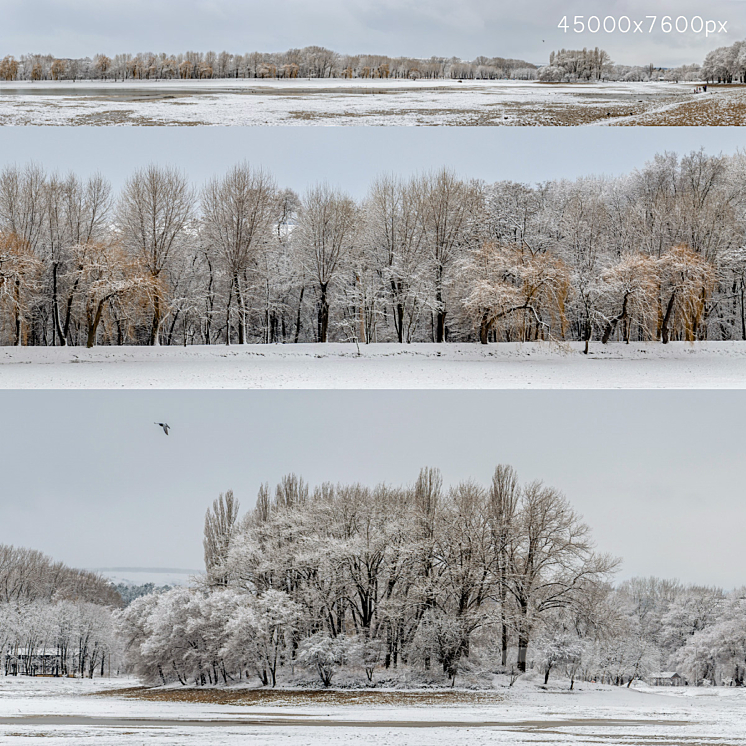 Panorama of the park with a lake and snow-covered trees. 45k 3D Model