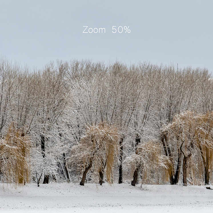 Panorama of the park with a lake and snow-covered trees. 45k 3D Model Free