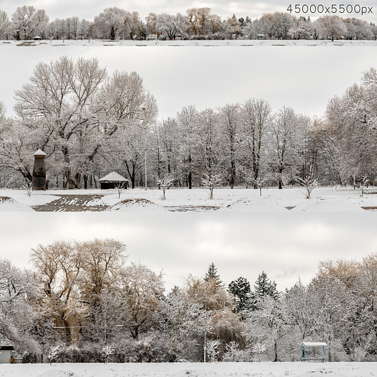 Panorama of the park and snow-covered trees. 45k 3D Model