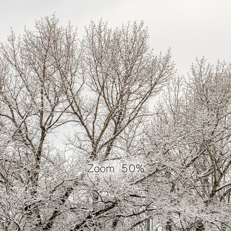 Panorama of the park and snow-covered trees. 45k 3D Model Free