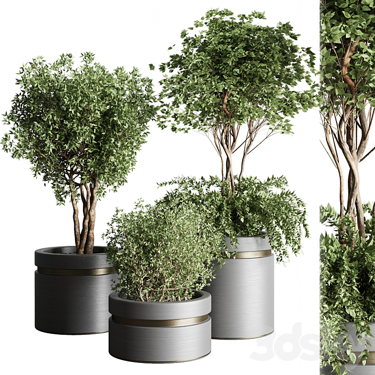 Tree pots and shrubs-bush collection 74 metal vase for outdoor indoor 3DS Max Model - thumbnail 1