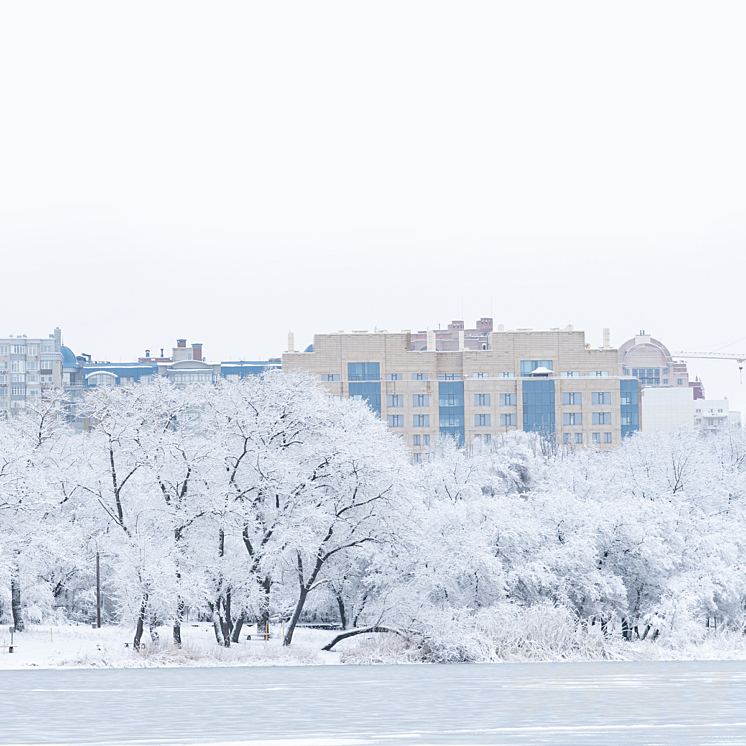 Winter panorama 3D Model Free