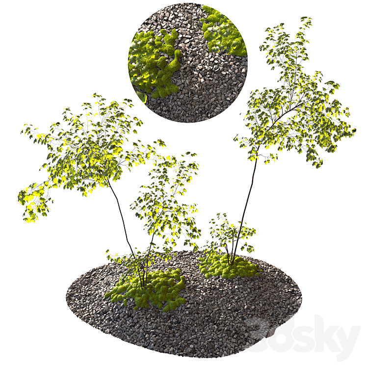 download environment element 3d free