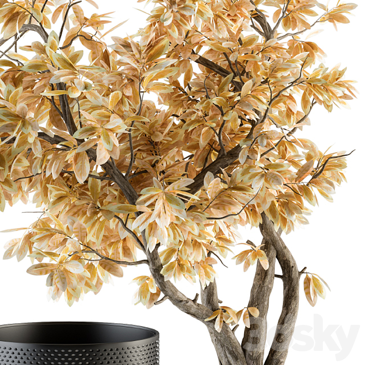 Bouquet Set – Autumn Branch in Black Vase 78 3DS Max Model - thumbnail 2