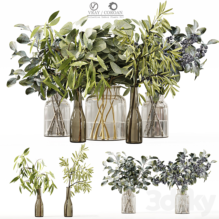 Collection Indoor Plants 013 3DS Max Model - thumbnail 1