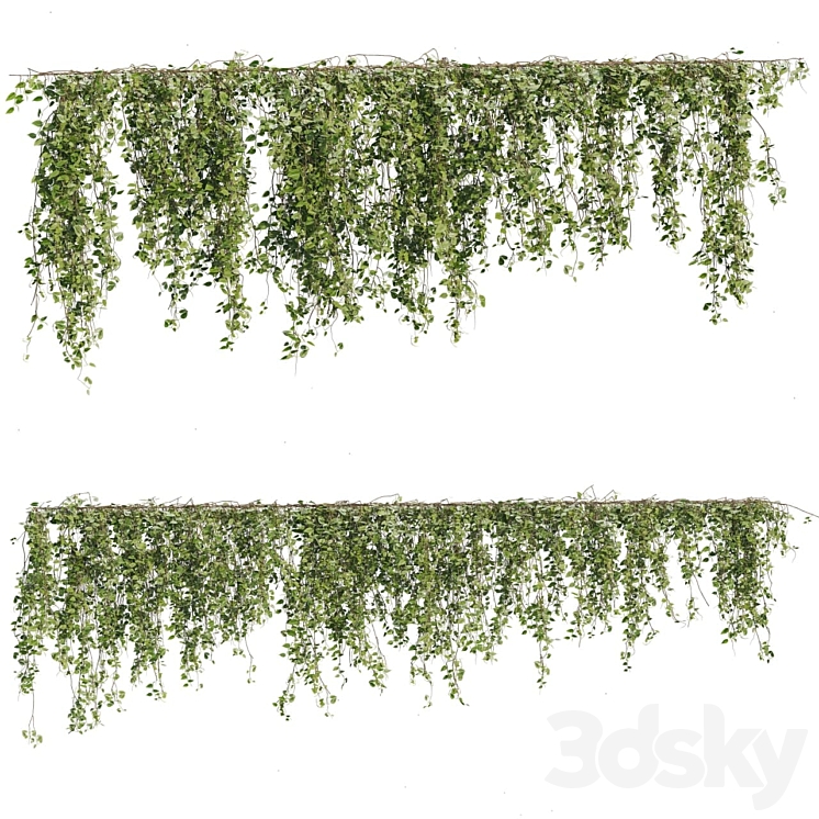 Ivy Plants 05 3DS Max Model - thumbnail 1