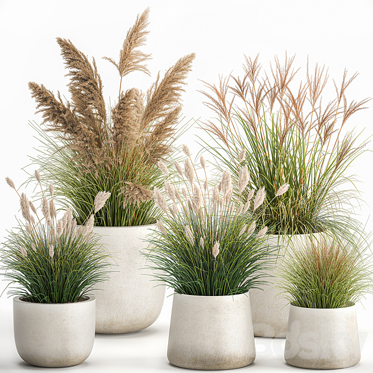 3DS MAX Collection of plants for landscape design in pots with reeds