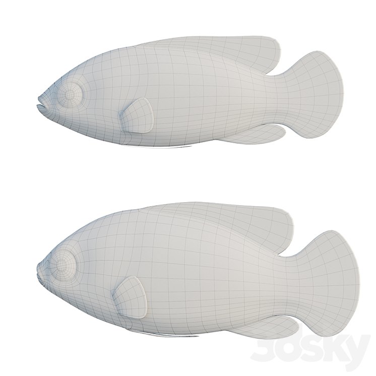 African jewel fish 3D Model Free