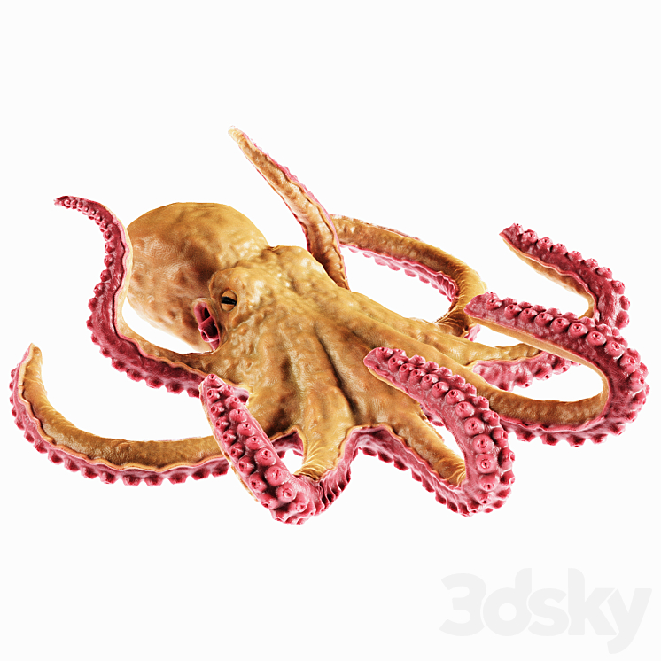 Octopus 3DS Max - thumbnail 2