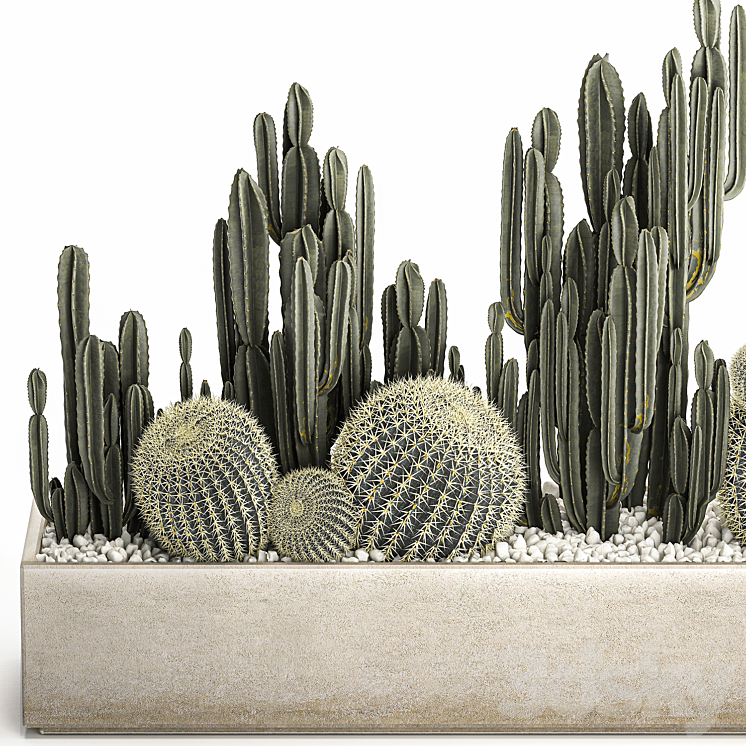 Collection of desert plants in a vase of cacti cereus and echinocactus barrel cactus. Set 1097. 3DS Max Model - thumbnail 2