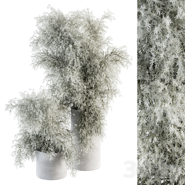 Bouquet – Green Branch in Concrete vase 79 3DS Max Model - thumbnail 1