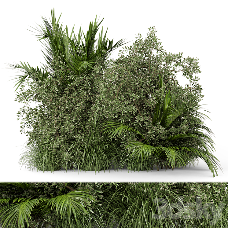 Outdoor Plants Bush-Bush Set 446 3D Model