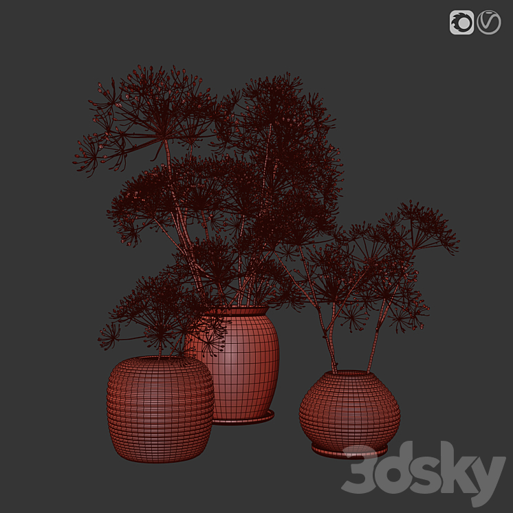 heracleum plant set 3D Model Free
