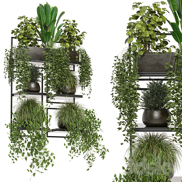 indoor plants in rusty concrete pot on metal shelf – Set 207 3DS Max - thumbnail 1