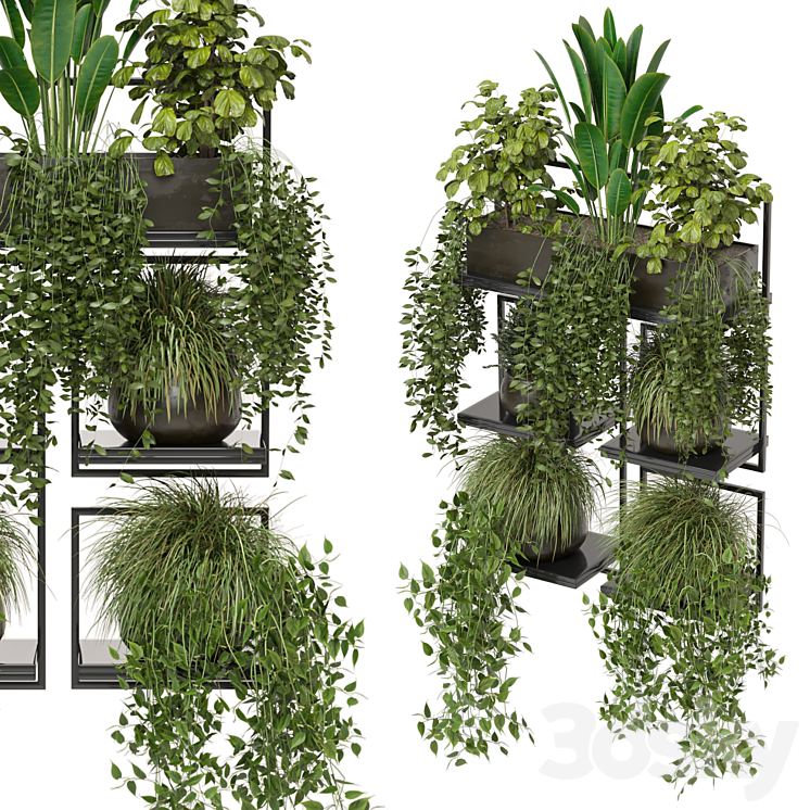 indoor plants in rusty concrete pot on metal shelf – Set 207 3DS Max - thumbnail 2