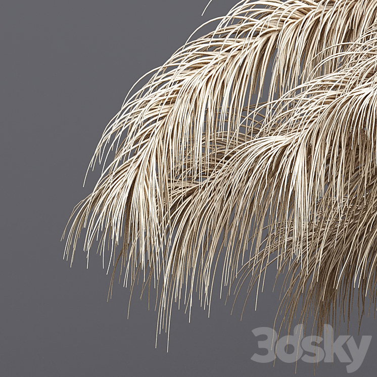 Dry flowers 03 3D Model Free