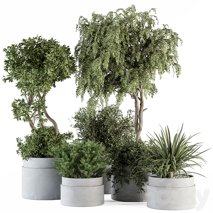 indoor Plant Set 341- Tree and Plant Set in Gray pot 3DS Max Model - thumbnail 1