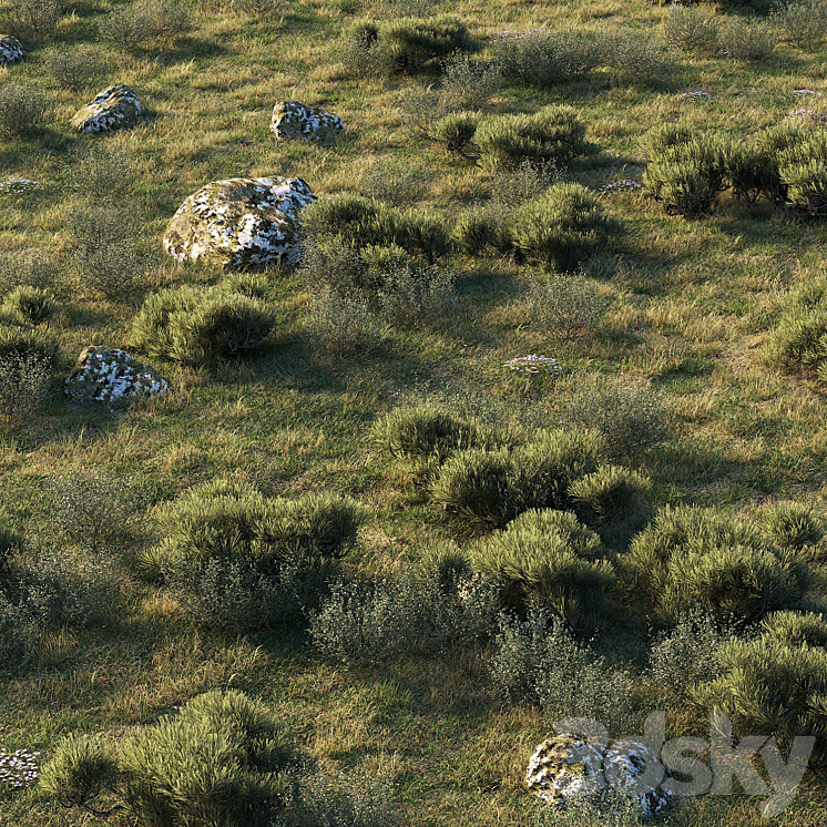 forest landscape 3D Model