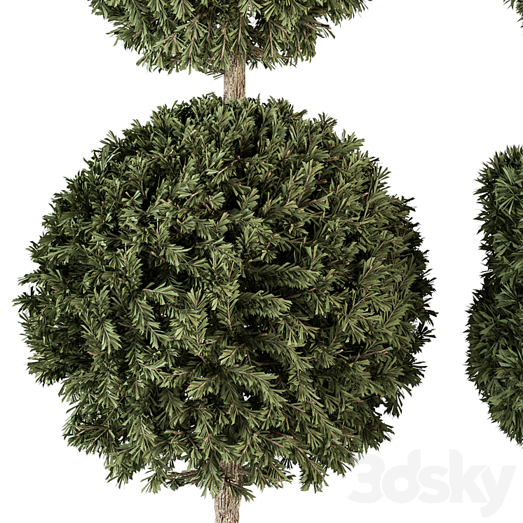 Topiary shape Bush – Bush Set 65 3DS Max Model - thumbnail 2