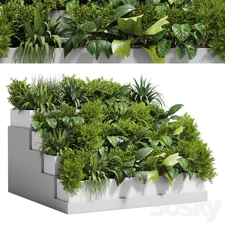 Stairs plant – Collection outdoor indoor plant 78 concrete vase pot fern bush grass 3DS Max Model - thumbnail 1