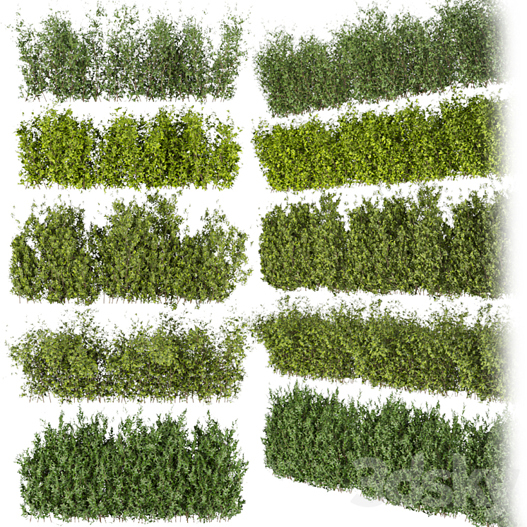 Collection plant vol 309 – bush – outdoor – leaf 3D Model