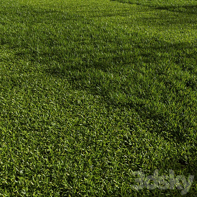 Grass Pack 01 3D Model Free