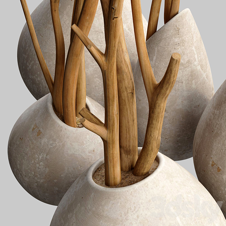 Branch slice vase n3 3D Model Free