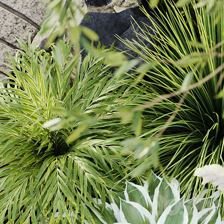 outdoor plant set 05 3D Model Free