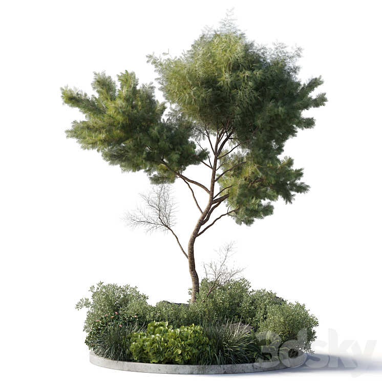 Collection outdoor indoor 81 pot plant & tree & bush & fern the garden pot corona 3DS Max Model - thumbnail 2