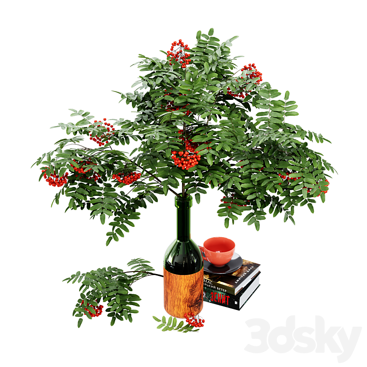 Rowan branches in a vase 3D Model Free