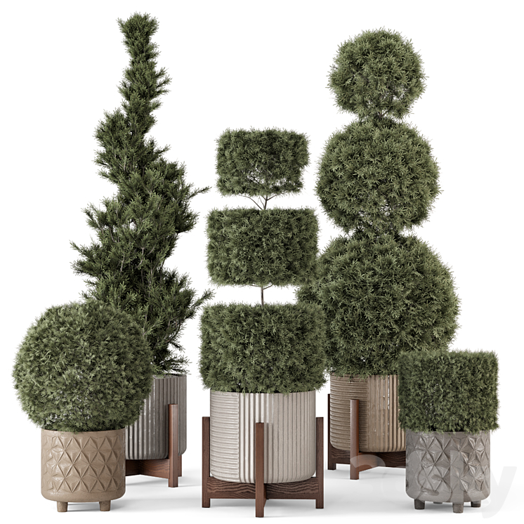 Outdoor Pine Plants in Concrete Pot – Set 522 3DS Max Model - thumbnail 1