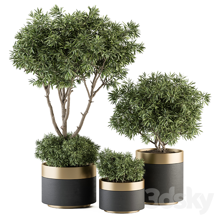 indoor Plant Set 361- Tree and Plant Set in pot 3DS Max - thumbnail 1