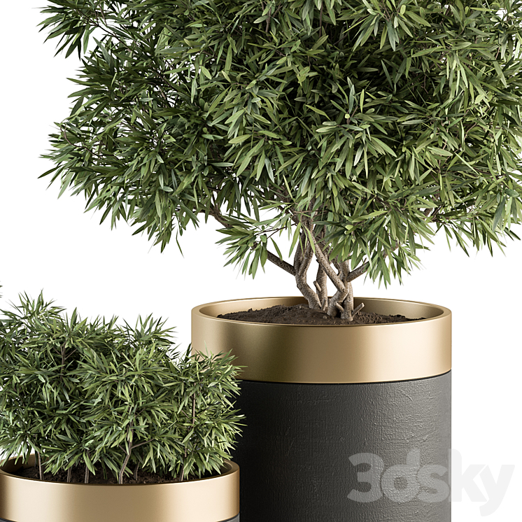 indoor Plant Set 361- Tree and Plant Set in pot 3DS Max - thumbnail 2
