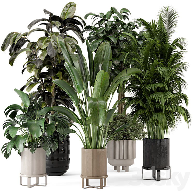 Indoor Plants in Ferm Living Bau Pot Large – Set 548 3DS Max Model - thumbnail 1