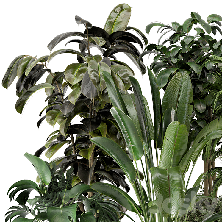Indoor Plants in Ferm Living Bau Pot Large – Set 548 3DS Max Model - thumbnail 2