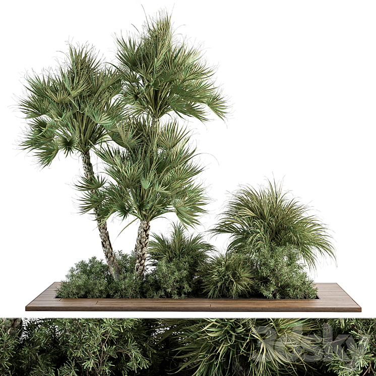 Garden Set Tropical Plants – Outdoor Plants Set 369 3DS Max Model - thumbnail 1