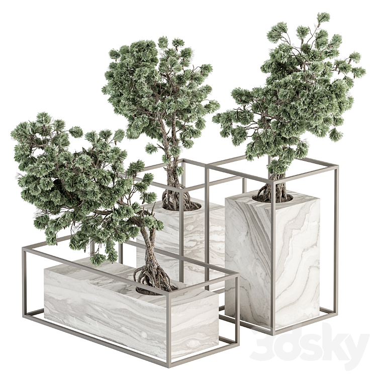 indoor Plant Set 358 – Bonsai Set Plant in pot 3DS Max Model - thumbnail 1